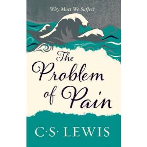 The Problem Of Pain