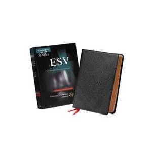 Esv Clarion Reference Bible, B