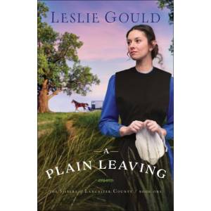 A Plain Leaving