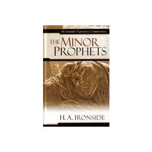 The Minor Prophets : An Ironsi