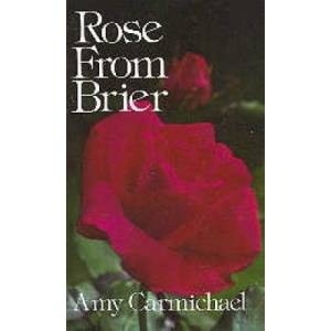 Rose from Brier