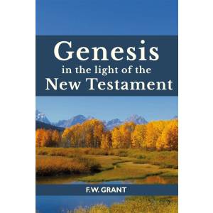Genesis in the Light of the Ne