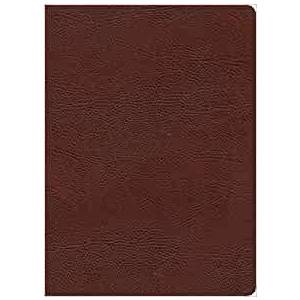 KJV Study Bible, Full-Color, B