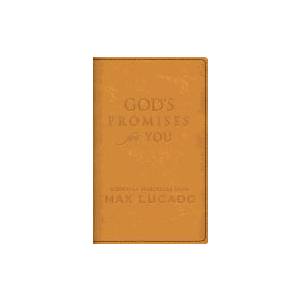 God's Promises for You Leather