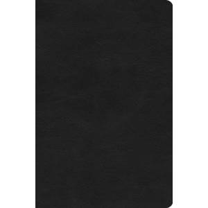 ESV Value Compact Bible TruTon