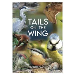 Tails on the Wing