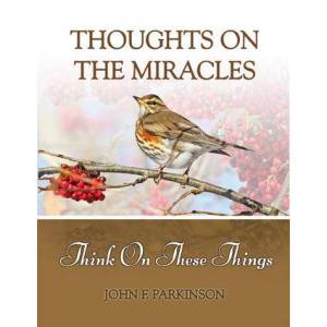 Thoughts On The Miracles