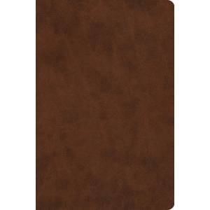 ESV Value Compact TruTone Brow
