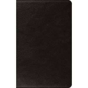Esv Large Print Thinline Bible